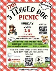 Three-Legged Dog Picnic